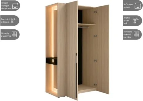 Armadio Ingresso 110x207h Cm 2 Ante Con Specchio Laterale Rovere Barcelona