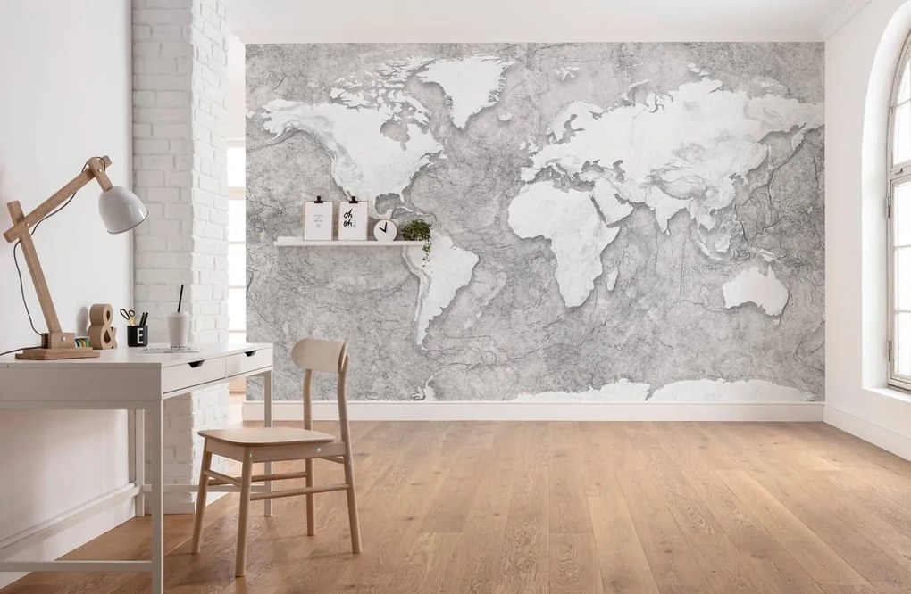 Fotomurale World relief, multicolore