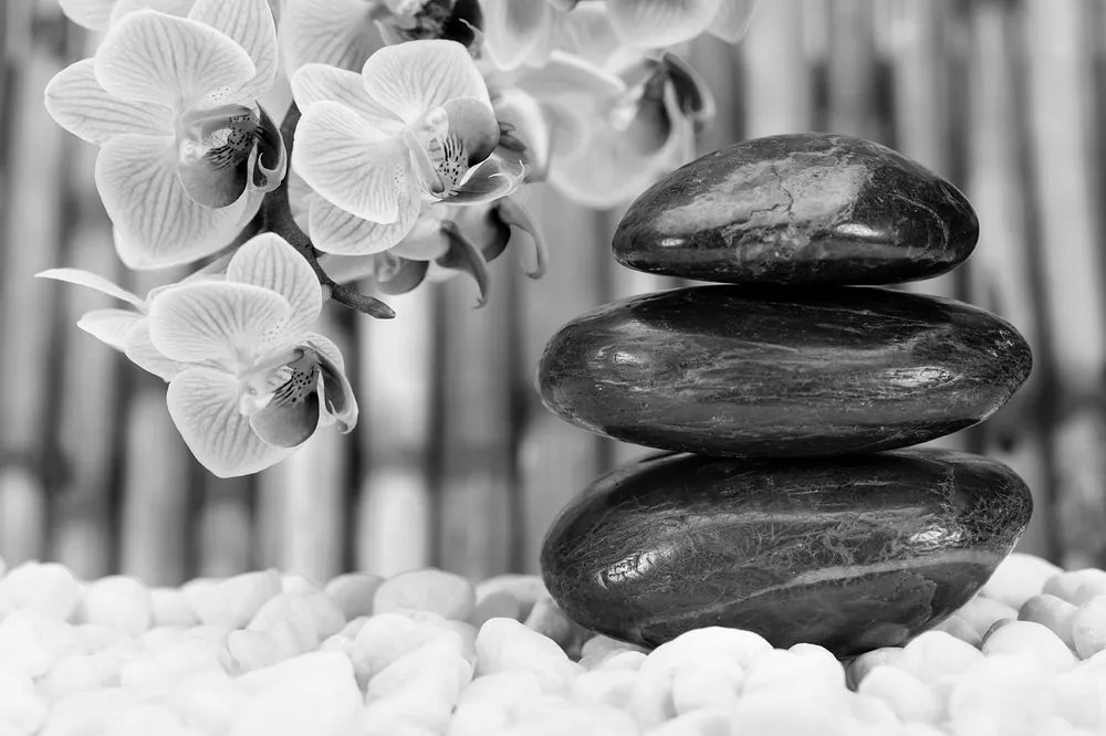 Carta da parati – Giardino Zen giapponese in bianco e nero