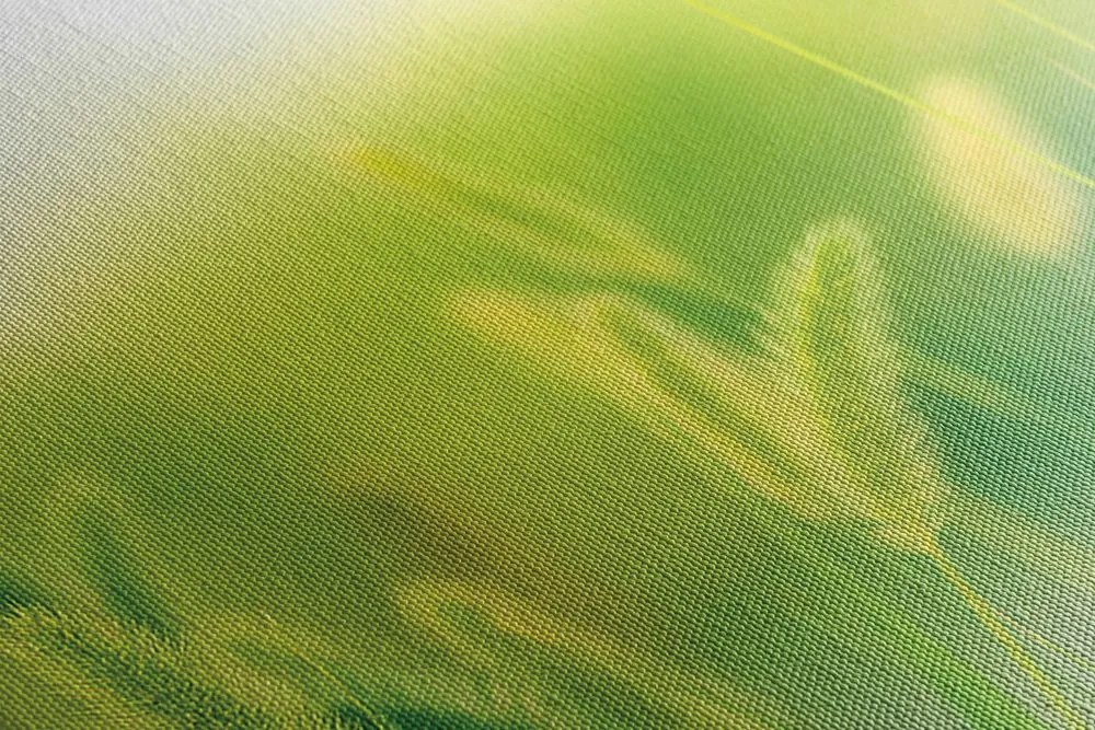 Stampa su tela – Steli d'erba in verde