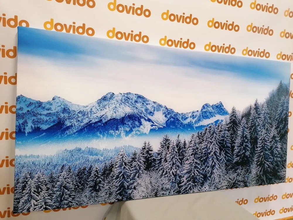 Quadro su tela – Montagne congelate