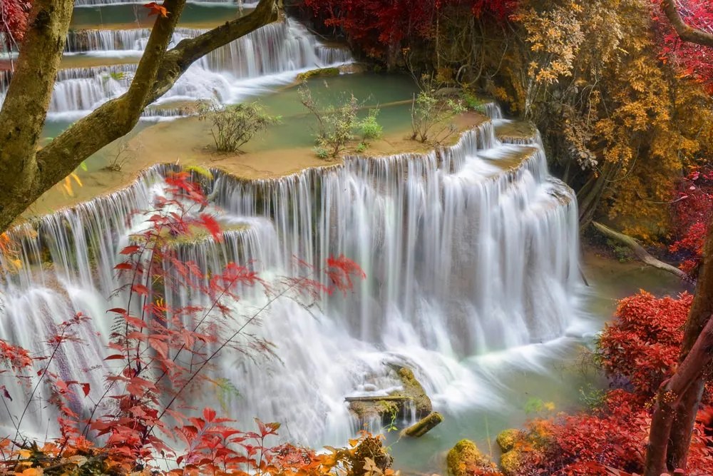 Stampa su tela – Cascata nella foresta