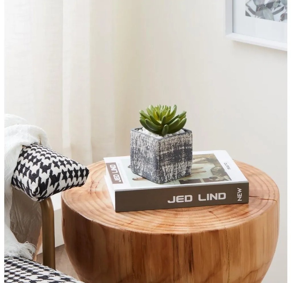 Eglo 428007 - Pianta artificiale CHITOSE 12x7,5 cm in vaso, succulenta