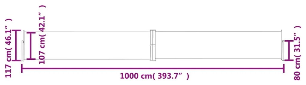 Tenda Laterale Retrattile Antracite 117x1000 cm