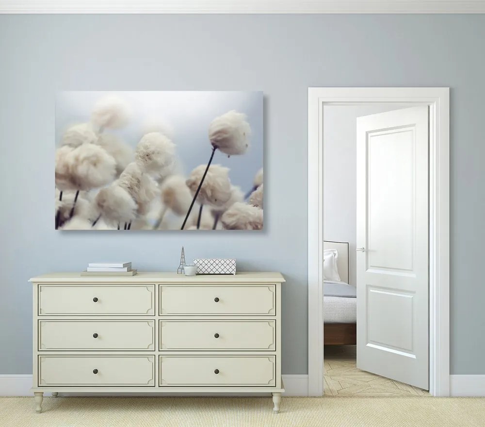 Quadro su tela – Fiori artici di cotone