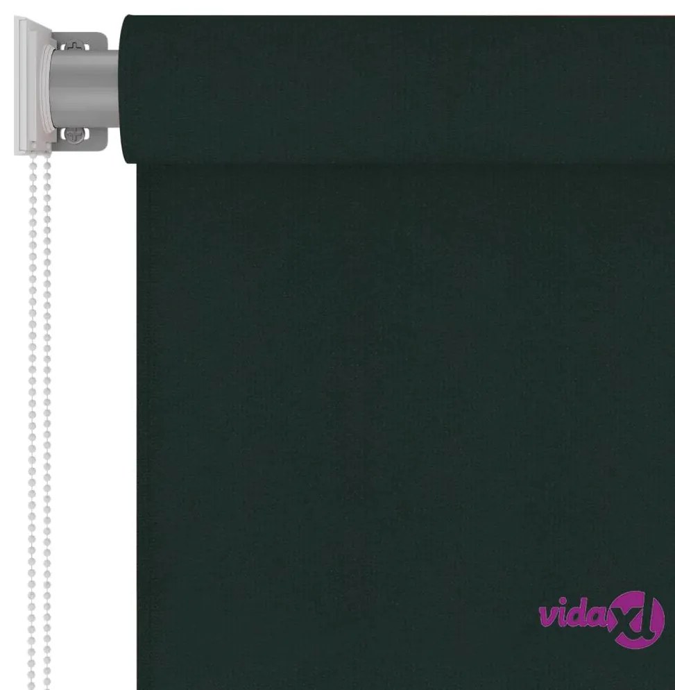 vidaXL Tenda a Rullo per Esterni 60x230 cm Verde Scuro HDPE