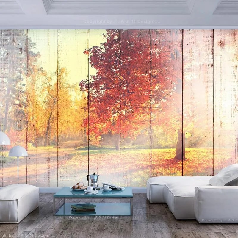 Fotomurale adesivo  Autumn Sun  Larghezza x Altezza Home decor 245x175