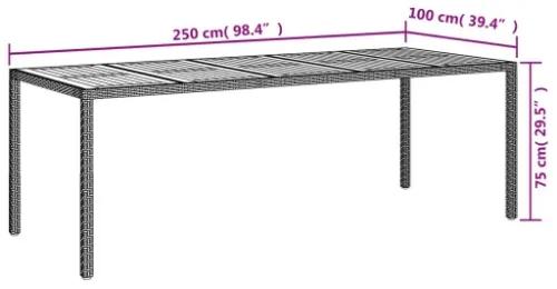 Tavolo da Giardino Nero 250x100x75 cm in Polyrattan