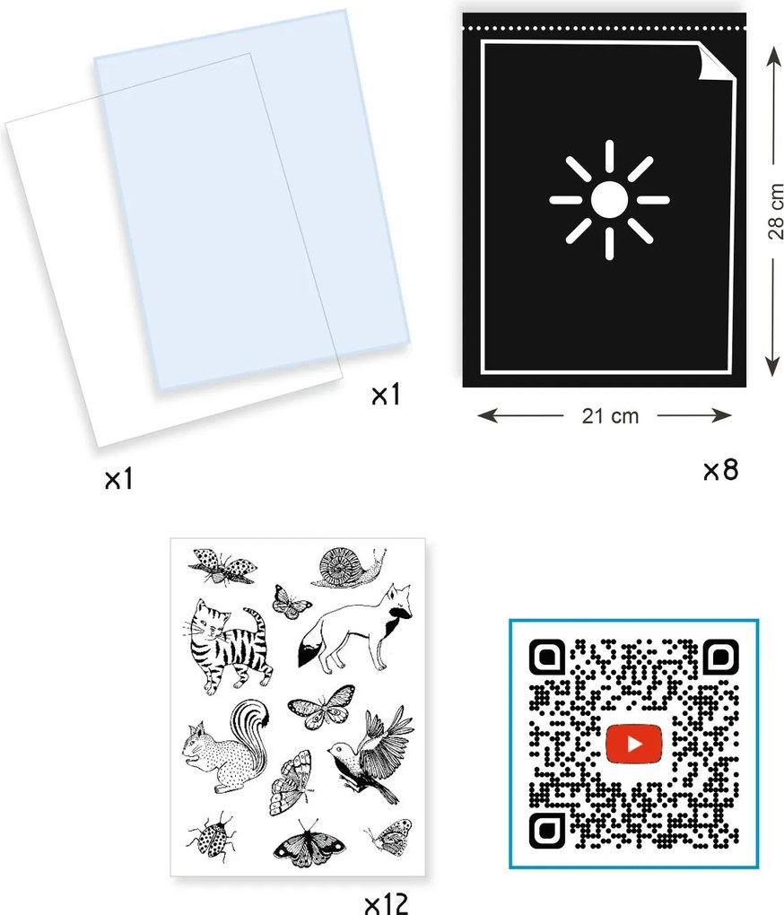 Set creativo iniziale - cianotipia