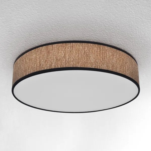 Brilagi - Lampada da soffitto dimmerabile ADELA LED/48W/230V 3000-6500K + DO