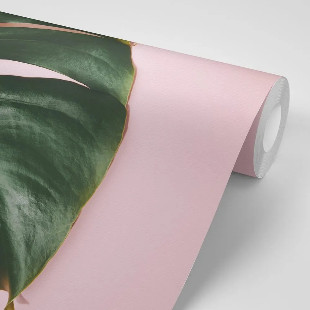 Carta da parati autoadesiva – Lettera di monstera