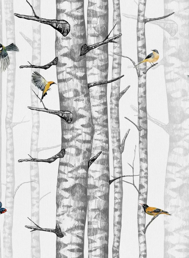 Coordonne Tapete Birch Trees - Grey