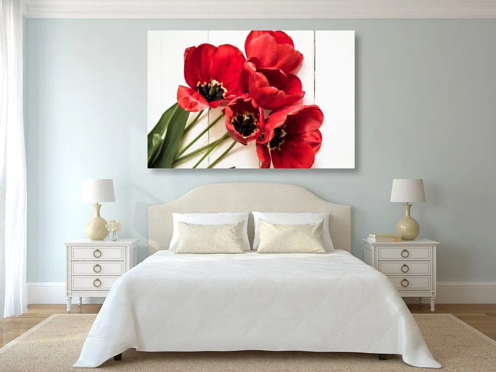 Quadro su tela – Tulipani rossi fioriti