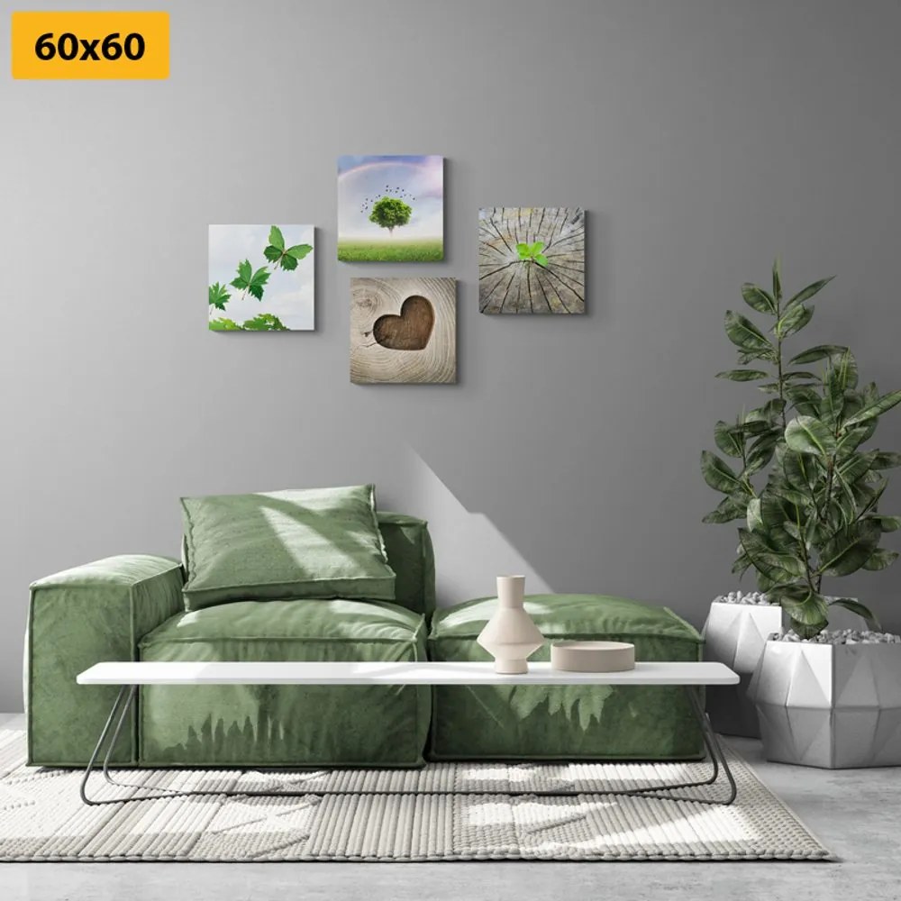Set di quadri – Angolo unico della natura