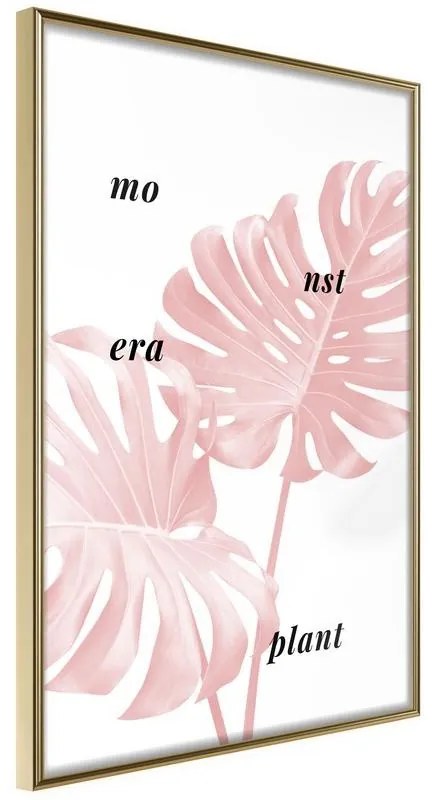 Poster Pale Pink Monstera