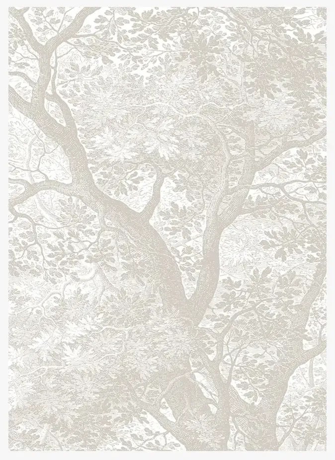 KEK Amsterdam Carta da parati panoramica Engraved Landscapes Grey 1 - M - 2m