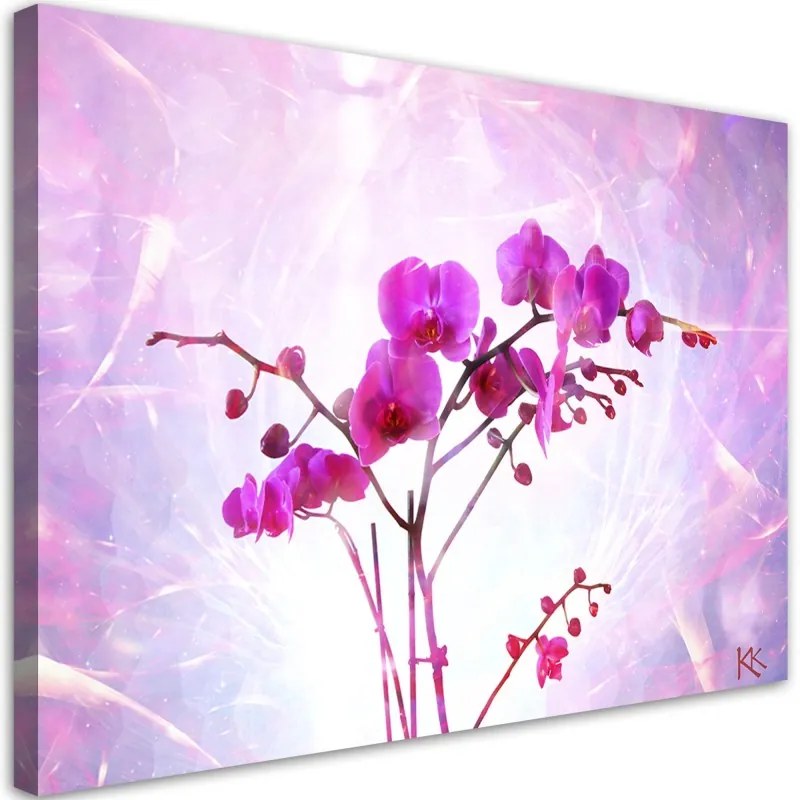 Quadro su tela, Orchidea essenziale  Dimensioni 120x80