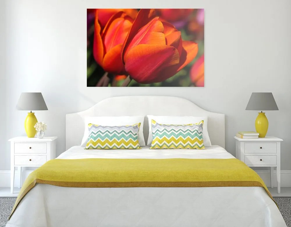Quadro su tela – Tulipani meravigliosi sul prato