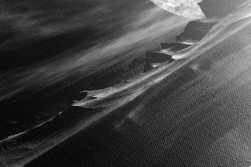 Stampa su tela – Pianeta futuristico in bianco e nero