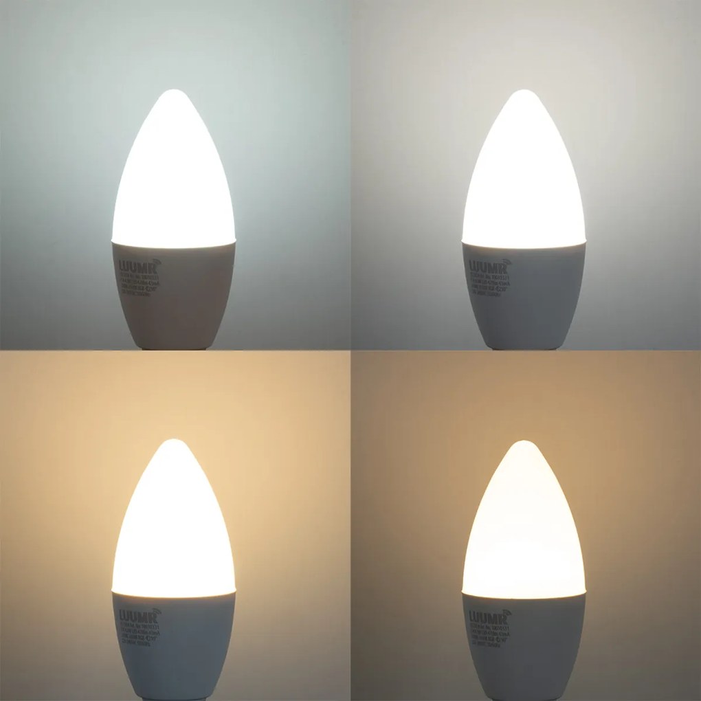 Set di 5 lampadine LED E14 dimmerabili C37 opale 4.9W 470 lm 2700-6500K