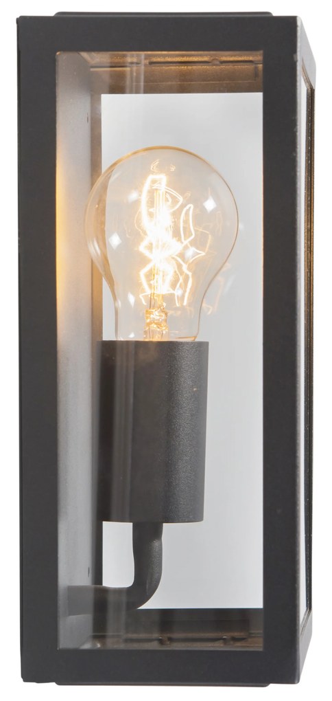 Lampada da parete per esterni industriale nera con vetro 25,5 cm IP44 - Rotterdam