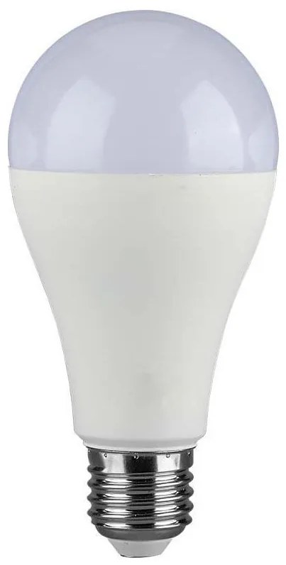 Lampadina LED SAMSUNG CHIP A65 E27/17W/230V 3000K