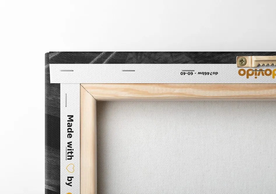 Quadro su tela – Acchiappasogni in bianco e nero