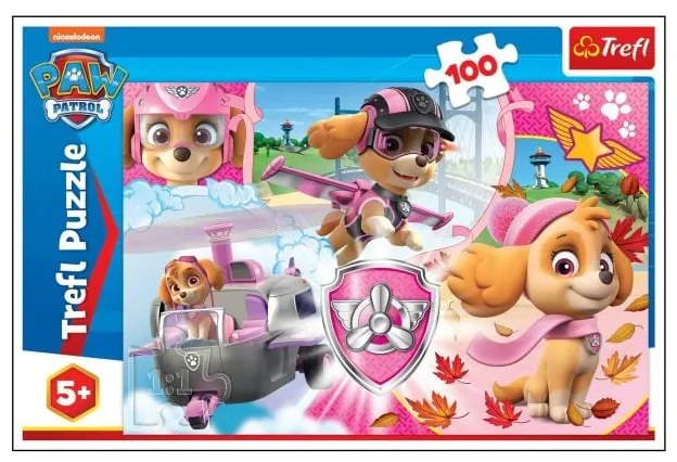 Sinsay - Puzzle Paw Patrol - multicolor