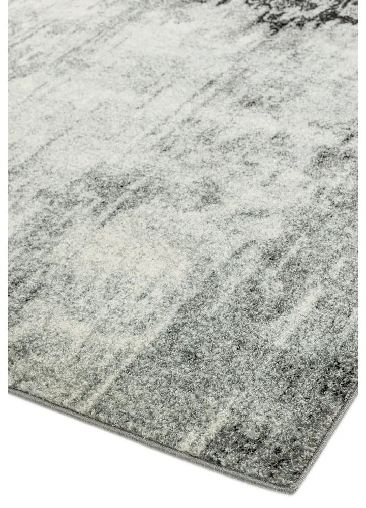 Tappeto grigio 230x160 cm Nova - Asiatic Carpets