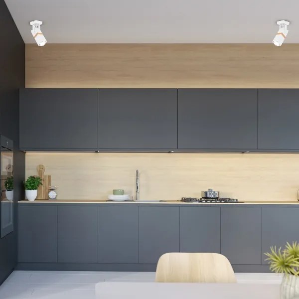 Luce Spot VIDAR 1xGU10/25W/230V bianco