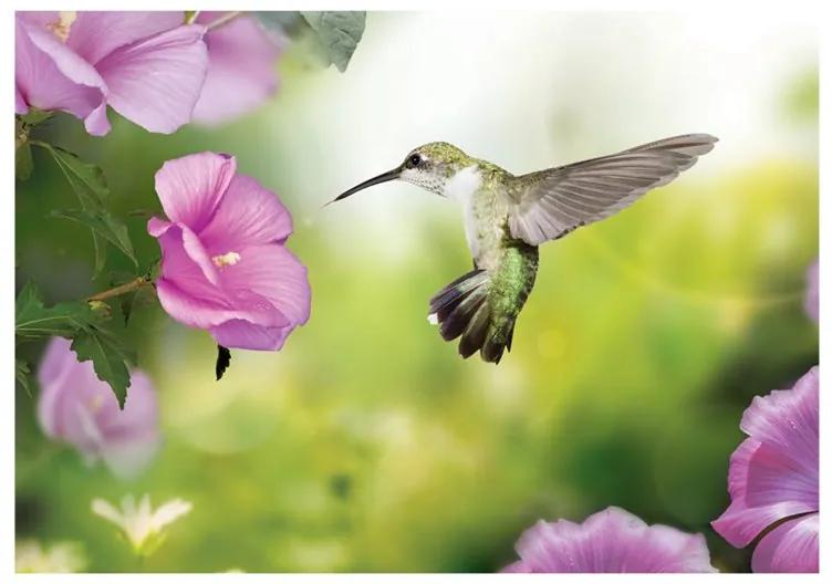 Fotomurale Hummingbird