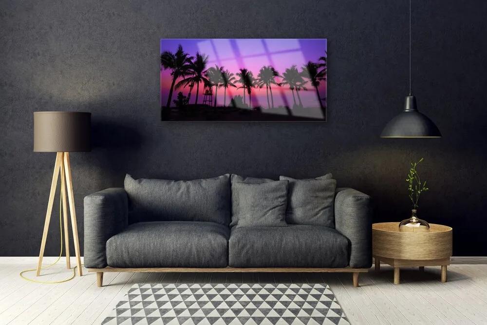 Quadro su vetro acrilico Paesaggio delle palme 100x50 cm