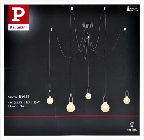 Paulmann 50389 - Lampadario a sospensione con filo NEORDIC 5xE27/20W/230V ragno