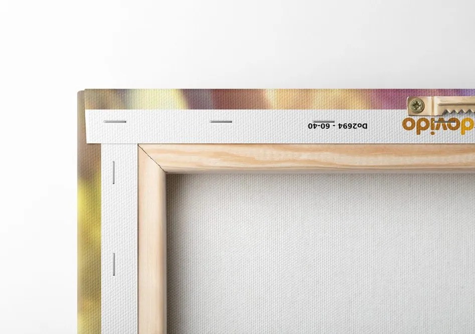 Quadro su tela – Ratto con cuffie