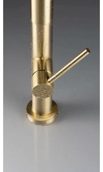 Deante BQO_R72M - Rubinetto lavello con doccetta estraibile OLFATO pettinato oro