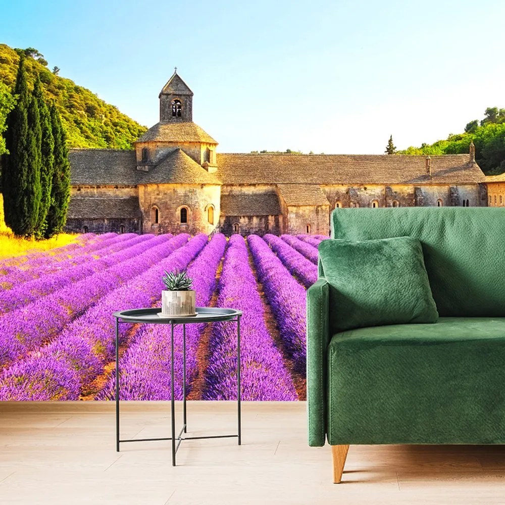 Carta da parati autoadesiva – Provenza con campi di lavanda