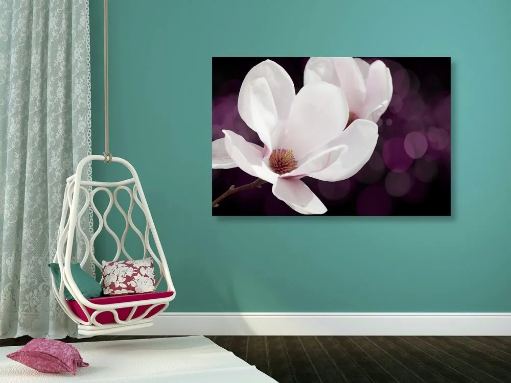 Quadro su tela – Fiore di magnolia su sfondo astratto