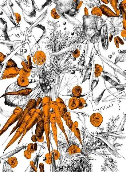 Edmond Petit Carta da parati Feu d'Artifice Lègumes - Feu d'Artifice Lègumes - Carotte