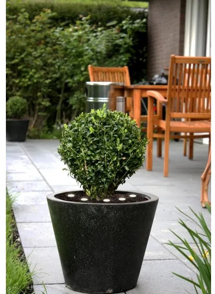 Eglo 900117 - Catena decorativa da esterno LED SPINETOLI 6xLED IP65