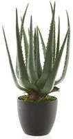 Aloe in Vaso Artificiale 40cm Verde - Accessori Decorativi per Casa Interni ed Esterni