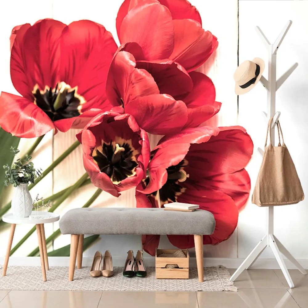 Carta da parati – Tulipani rossi in fiore