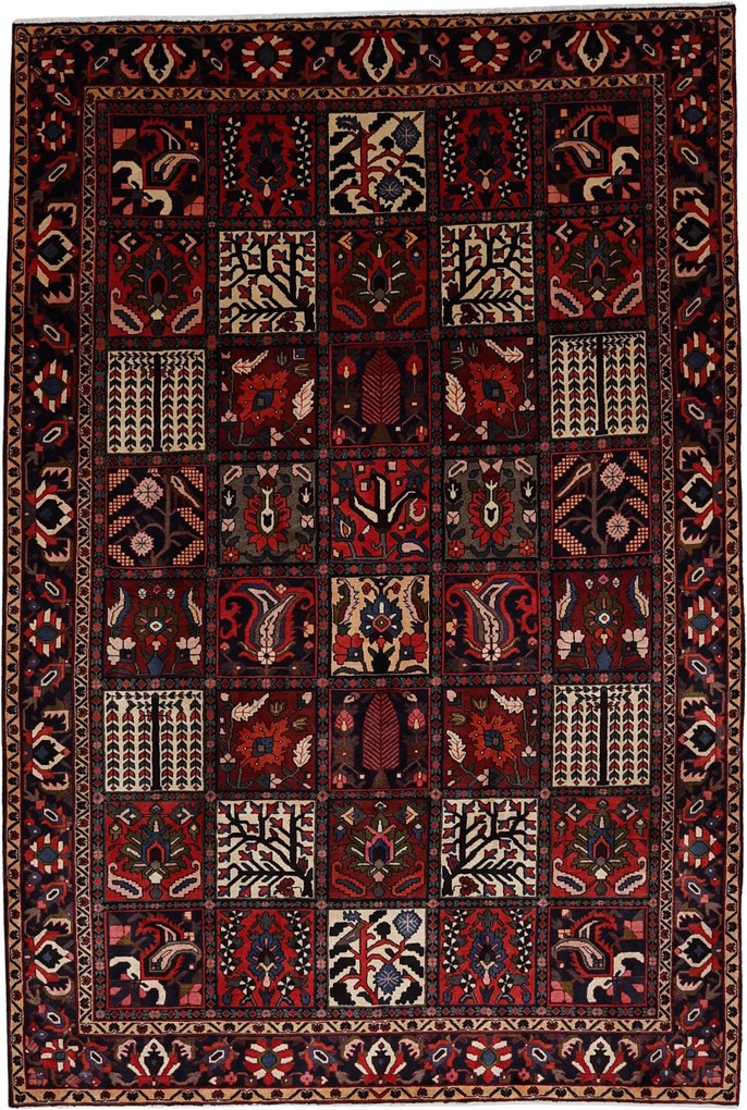 Bakhtiar Tappeto 220 x 320 (Iran) Annodato A Mano