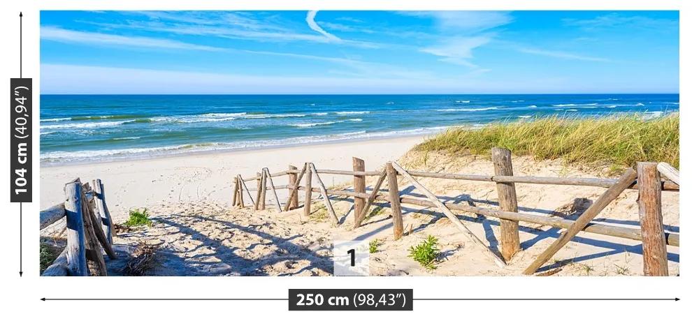 Carta da parati Sentiero per la spiaggia 104x70 cm