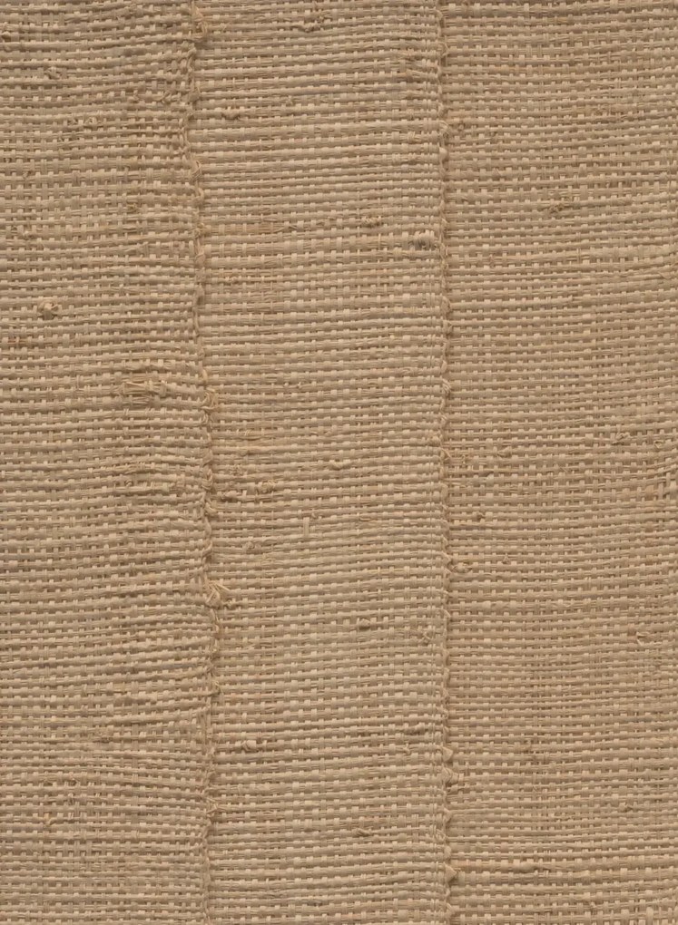 Arte Carta da parati Farini - Ginseng