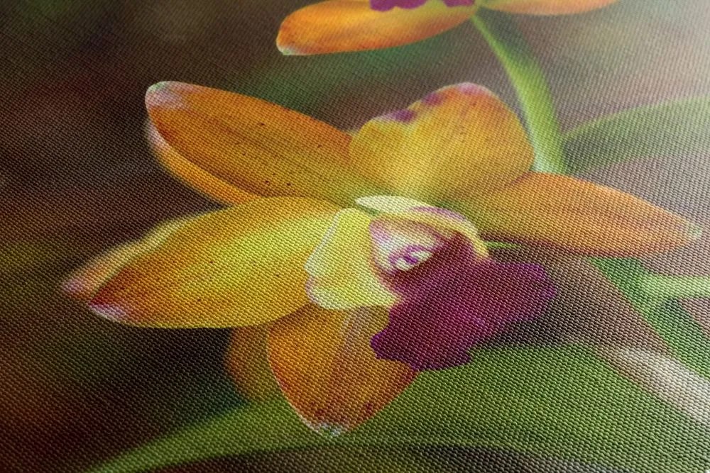 Stampa su tela – Orchidea arancione