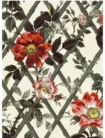 House of Hackney Carta da parati Bryher Rose - Cinnabar