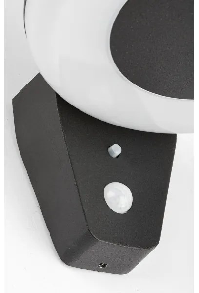 Rabalux 77010 - Luce solare a LED con sensore CERTOVO LED/4W/3,7V IP44