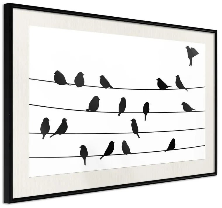 Poster  Birds Council Meeting  Cornice Quadri Cornice nera con pass-partout, Larghezza x Altezza Home decor 30x20