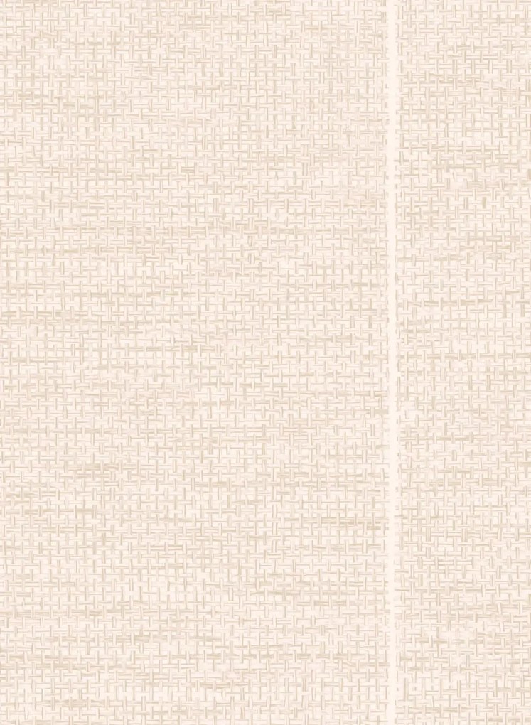 Essentials by Arte International Tapete Le Raphia Tisse - Ivory