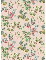 Osborne & Little Tapete Orchard - Blush